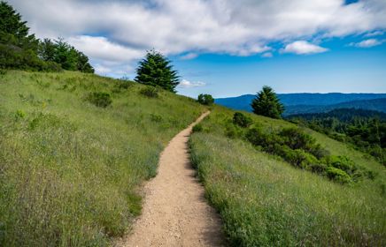 Mental Health Awareness Week 2025: the power of community